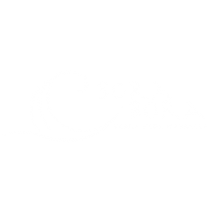 Logo_Bora_Bora_bianco_512x512